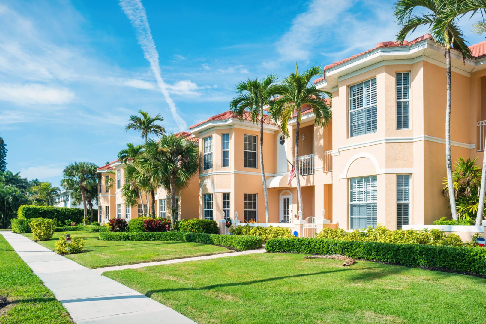 Palm trees by pastel-colored townhouses